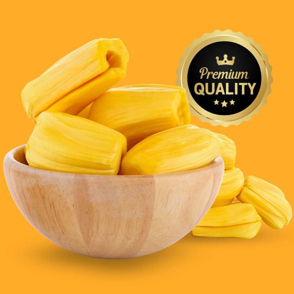 indonesian fruit chips supply